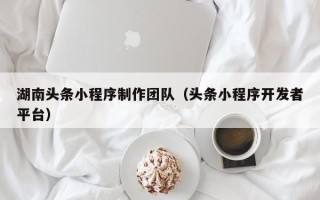 永新湖南头条小程序制作团队（头条小程序开发者平台）